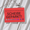 '25 Karteikarten "Hier hast du echt SCHEIßE GEPARKT!"